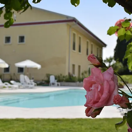 Farm stay Panorama Castelnuovo del Garda
