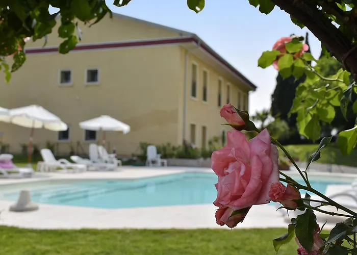 Фермерский дом Agriturismo Panorama Кастельнуово-дель-Гарда
